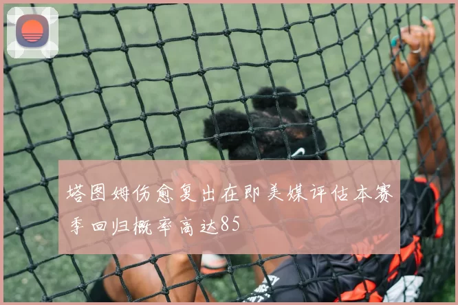 塔图姆伤愈复出在即美媒评估本赛季回归概率高达85